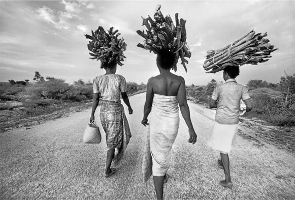 Иллюстрация к книге — Новая карта мира. Энергетические ресурсы, меняющийся климат и столкновение наций [i_078.jpg]