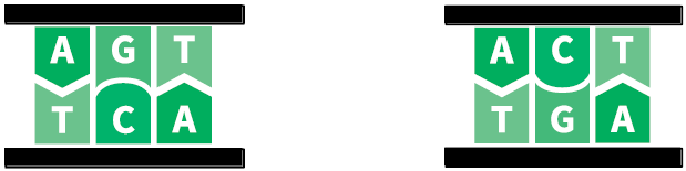 Иллюстрация к книге — Теоретический минимум по Computer Science. Все что нужно программисту и разработчику [i_058.jpg]