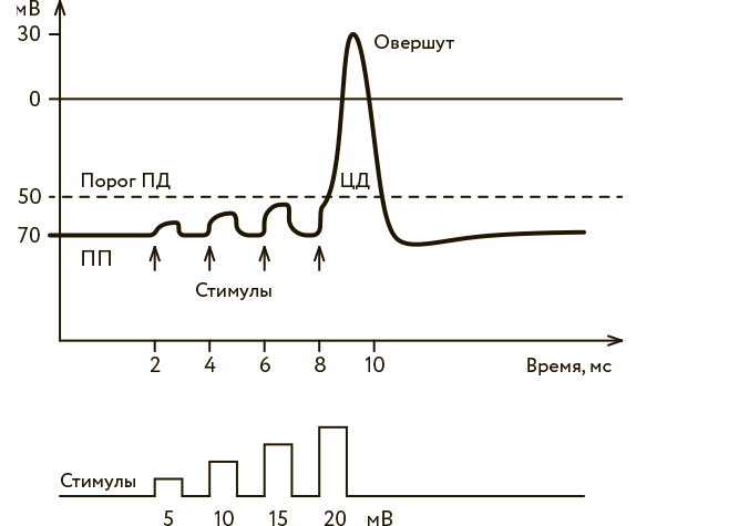 Иллюстрация к книге — Научное мировоззрение изменит вашу жизнь. Почему мы изучаем Вселенную и как это помогает нам понять самих себя? [i_027.jpg]