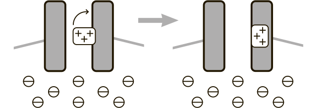 Иллюстрация к книге — Научное мировоззрение изменит вашу жизнь. Почему мы изучаем Вселенную и как это помогает нам понять самих себя? [i_029.jpg]