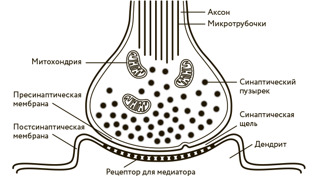 Иллюстрация к книге — Научное мировоззрение изменит вашу жизнь. Почему мы изучаем Вселенную и как это помогает нам понять самих себя? [i_031.jpg]