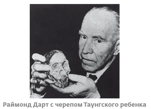 Иллюстрация к книге — Сапиенс для пляжа: изучаем происхождение человека [i_007.jpg]