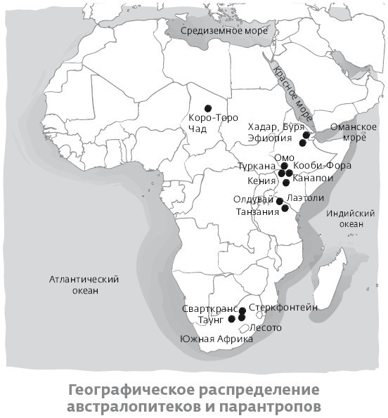 Иллюстрация к книге — Сапиенс для пляжа: изучаем происхождение человека [i_014.jpg]