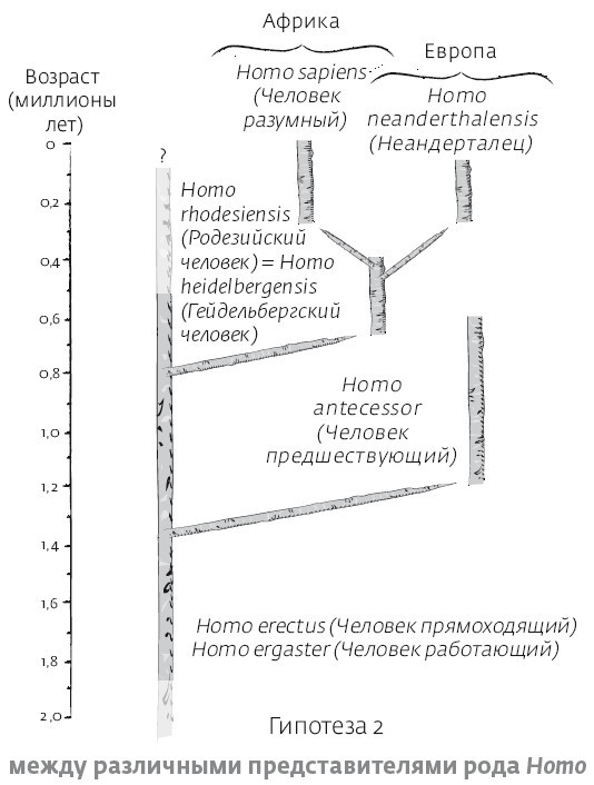 Иллюстрация к книге — Сапиенс для пляжа: изучаем происхождение человека [i_023.jpg]