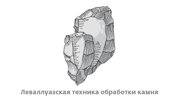 Иллюстрация к книге — Сапиенс для пляжа: изучаем происхождение человека [i_026.jpg]