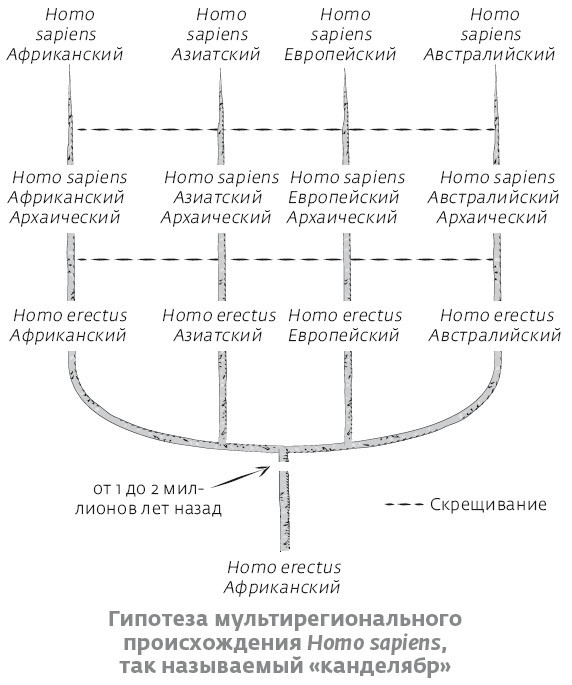 Иллюстрация к книге — Сапиенс для пляжа: изучаем происхождение человека [i_029.jpg]