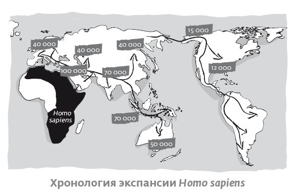 Иллюстрация к книге — Сапиенс для пляжа: изучаем происхождение человека [i_031.jpg]