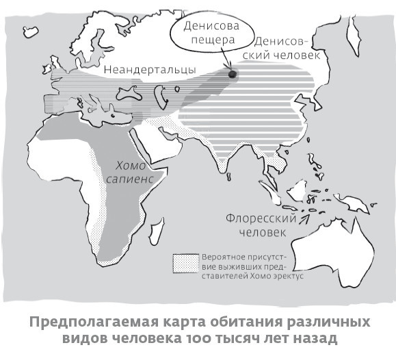 Иллюстрация к книге — Сапиенс для пляжа: изучаем происхождение человека [i_032.jpg]