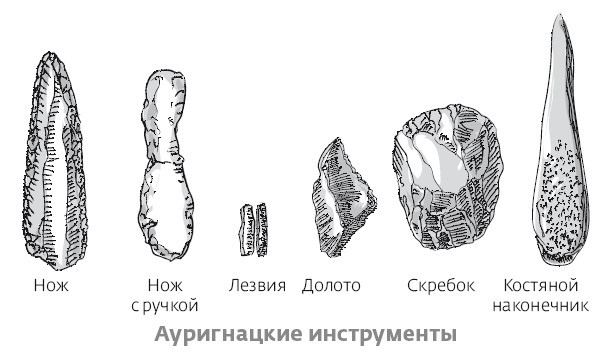 Иллюстрация к книге — Сапиенс для пляжа: изучаем происхождение человека [i_034.jpg]