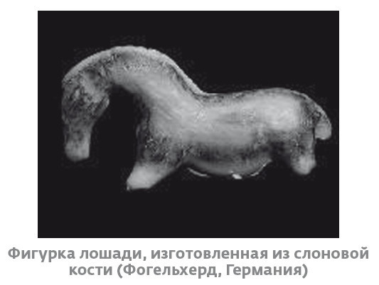 Иллюстрация к книге — Сапиенс для пляжа: изучаем происхождение человека [i_035.jpg]