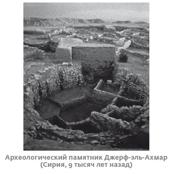 Иллюстрация к книге — Сапиенс для пляжа: изучаем происхождение человека [i_042.jpg]