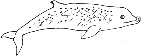 Иллюстрация к книге — Красноречие сардинки. Невероятные истории подводного мира [i_003.jpg]