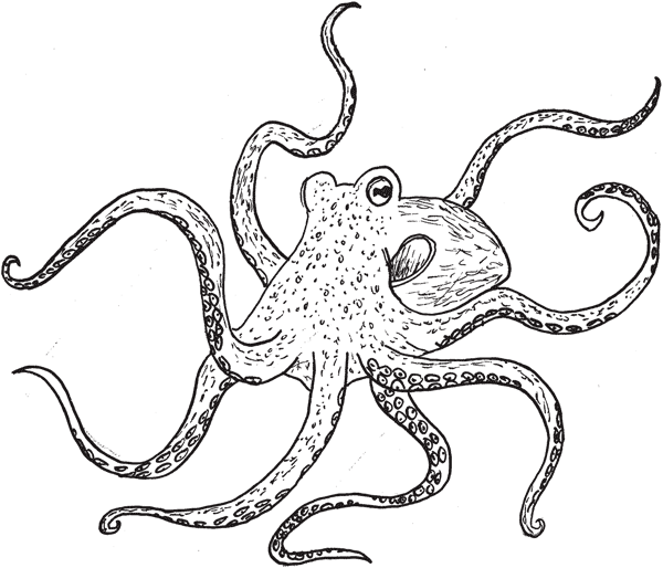 Иллюстрация к книге — Красноречие сардинки. Невероятные истории подводного мира [i_006.jpg]