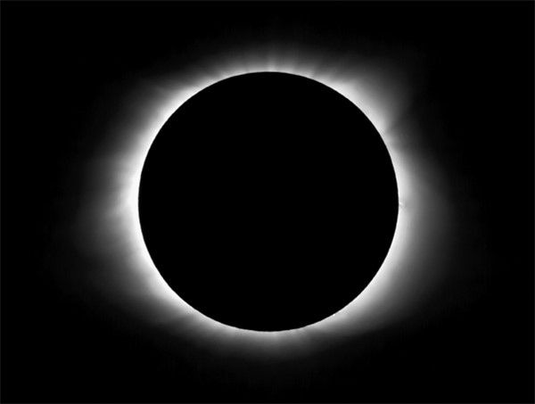 Иллюстрация к книге — Иммунитет умнее мозга. Главная система нашего организма [i_010.jpg]