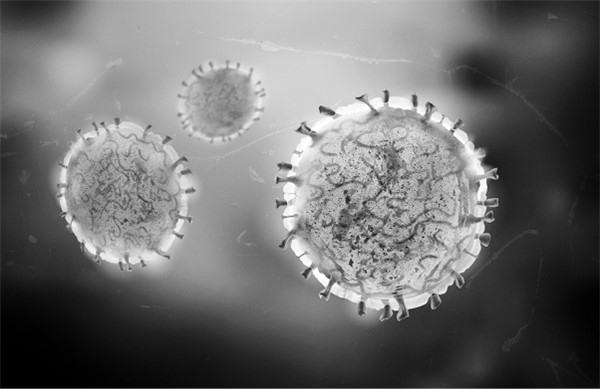 Иллюстрация к книге — Иммунитет умнее мозга. Главная система нашего организма [i_011.jpg]