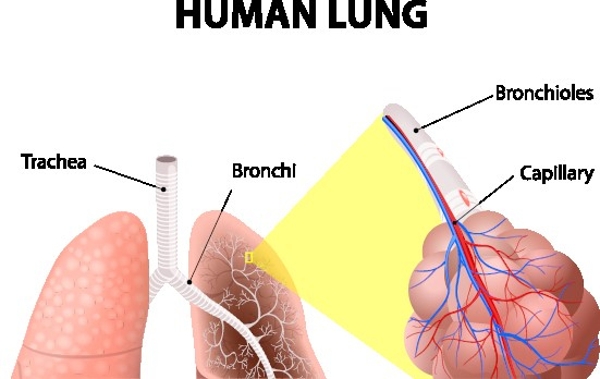 Иллюстрация к книге — Иммунитет умнее мозга. Главная система нашего организма [i_016.jpg]