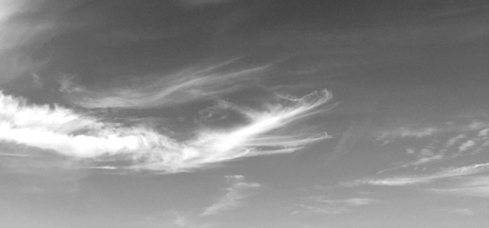 Иллюстрация к книге — Чудеса творят чудеса. Почему нам помогают целители, но не помогают таблетки [i_003.jpg]