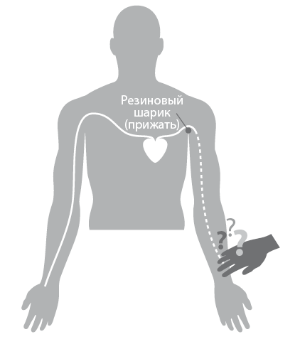 Иллюстрация к книге — Чудеса творят чудеса. Почему нам помогают целители, но не помогают таблетки [i_005.jpg]