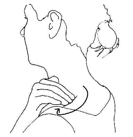 Иллюстрация к книге — Исцеление головной боли. Комплексная практическая программа самопомощи [i_035.jpg]