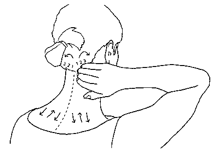 Иллюстрация к книге — Исцеление головной боли. Комплексная практическая программа самопомощи [i_044.jpg]