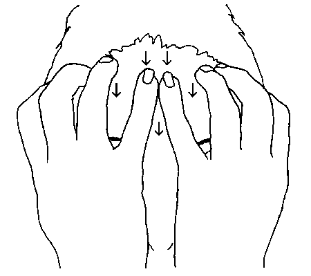 Иллюстрация к книге — Исцеление головной боли. Комплексная практическая программа самопомощи [i_056.jpg]