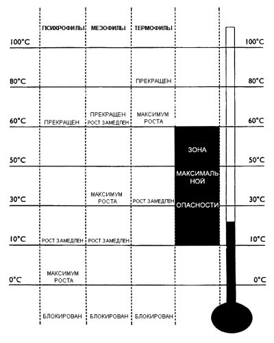 Иллюстрация к книге — Кулинарная наука, или Научная кулинария [i_023.jpg]