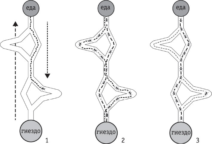 Иллюстрация к книге — Всё об искусственном интеллекте за 60 минут [i_015.jpg]