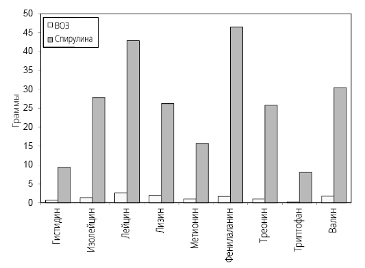 Иллюстрация к книге — Справочник сыроеда. Краткое руководство по питанию свежей растительной пищей [i_058.jpg]