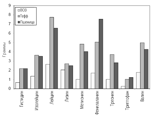 Иллюстрация к книге — Справочник сыроеда. Краткое руководство по питанию свежей растительной пищей [i_063.jpg]