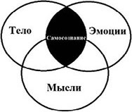 Иллюстрация к книге — Ты не сможешь! СУМЕЙ по М.О.В. [i_008.jpg]