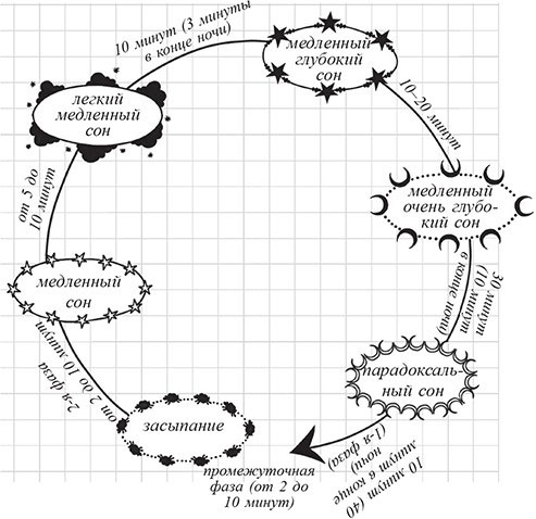 Иллюстрация к книге — Мой блокнот. Идеальный тайминг [i_044.jpg]