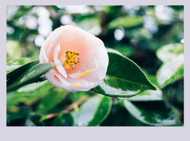 Иллюстрация к книге — Кайдзен. Японский метод трансформации привычек маленькими шагами [i_047.jpg]