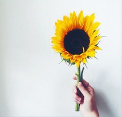 Иллюстрация к книге — Кайдзен. Японский метод трансформации привычек маленькими шагами [i_048.jpg]