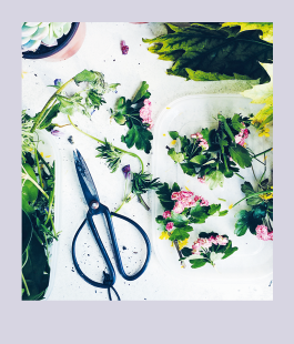 Иллюстрация к книге — Кайдзен. Японский метод трансформации привычек маленькими шагами [i_054.jpg]