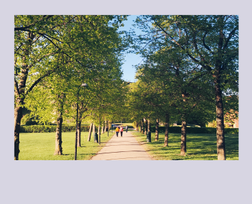 Иллюстрация к книге — Кайдзен. Японский метод трансформации привычек маленькими шагами [i_057.jpg]