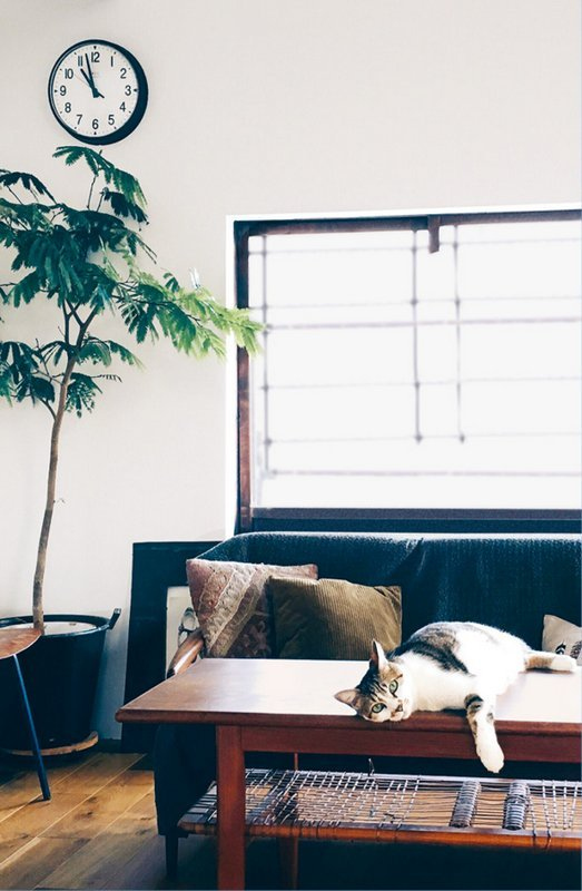 Иллюстрация к книге — Кайдзен. Японский метод трансформации привычек маленькими шагами [i_072.jpg]