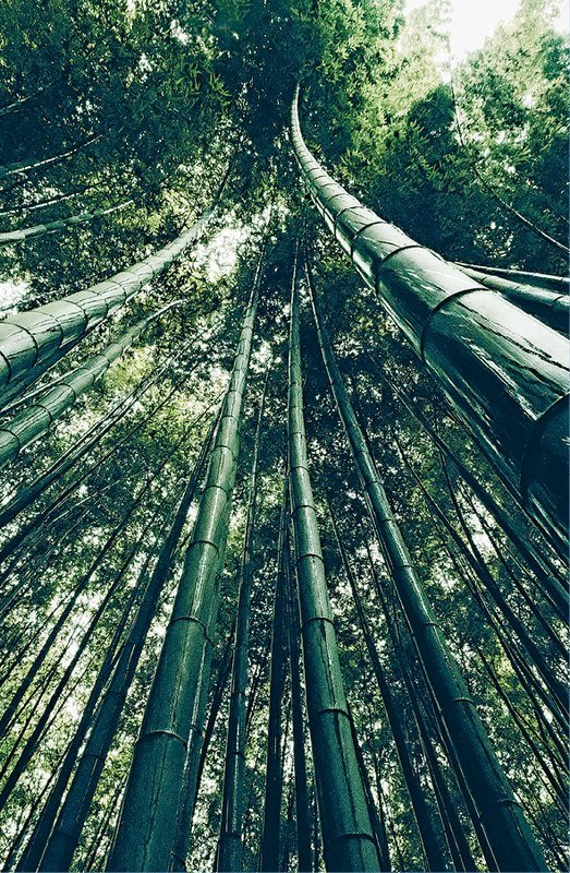 Иллюстрация к книге — Кайдзен. Японский метод трансформации привычек маленькими шагами [i_089.jpg]