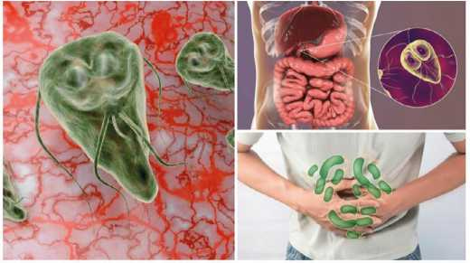 Иллюстрация к книге — Аллергия. Истинные причины. Лечение [i_028.jpg]