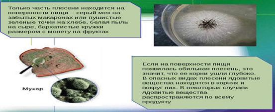 Иллюстрация к книге — Аллергия. Истинные причины. Лечение [i_033.jpg]