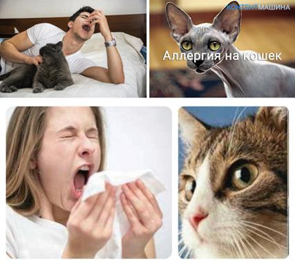 Иллюстрация к книге — Аллергия. Истинные причины. Лечение [i_036.jpg]