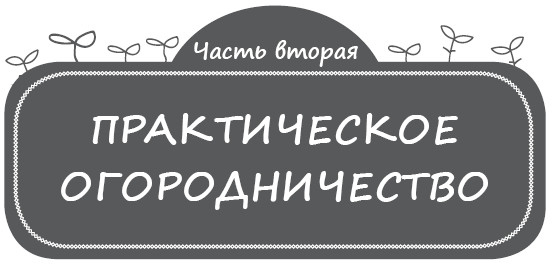 Иллюстрация к книге — Как заработать на своем огороде и не превратиться в раба [i_008.jpg]