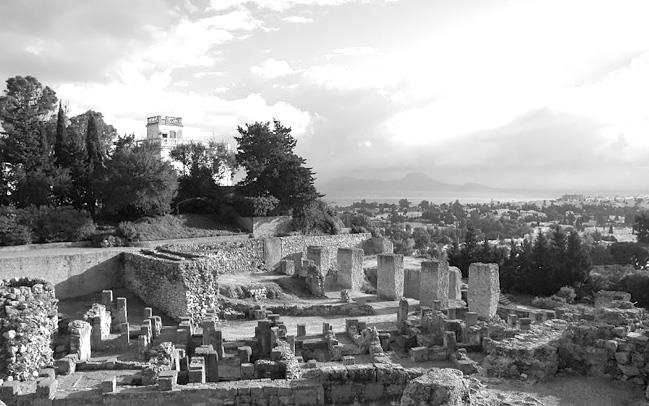 Иллюстрация к книге — Страны Магриба. Тунис. Независимое государство на руинах Карфагена [i_071.jpg]