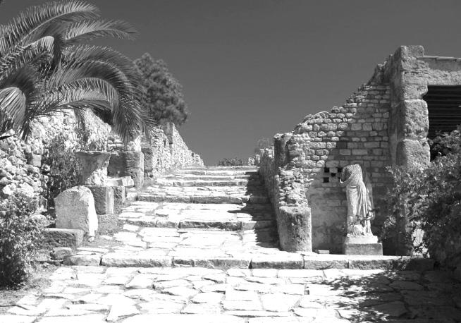 Иллюстрация к книге — Страны Магриба. Тунис. Независимое государство на руинах Карфагена [i_076.jpg]