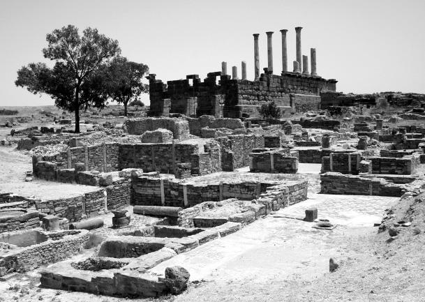 Иллюстрация к книге — Страны Магриба. Тунис. Независимое государство на руинах Карфагена [i_086.jpg]