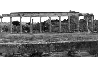 Иллюстрация к книге — Страны Магриба. Тунис. Независимое государство на руинах Карфагена [i_088.jpg]