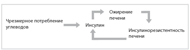 Иллюстрация к книге — Код диабета. Научные данные о том, как диабет 2-го типа стал самой «внезапной» болезнью столетия, и простая программа восстановления без инъекций и лекарств [i_067.jpg]