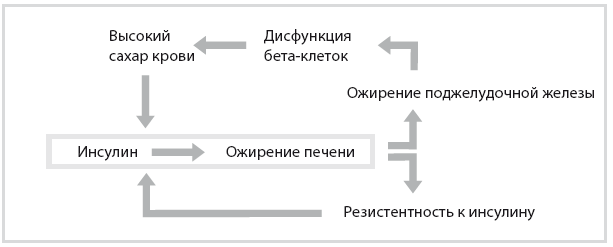 Иллюстрация к книге — Код диабета. Научные данные о том, как диабет 2-го типа стал самой «внезапной» болезнью столетия, и простая программа восстановления без инъекций и лекарств [i_068.jpg]