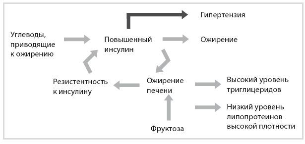 Иллюстрация к книге — Код диабета. Научные данные о том, как диабет 2-го типа стал самой «внезапной» болезнью столетия, и простая программа восстановления без инъекций и лекарств [i_084.jpg]