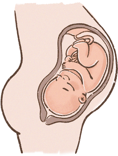 Иллюстрация к книге — Психология для ребят. Новые истории Дуни и кота Киселя [i_007.jpg]