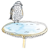 Иллюстрация к книге — Время услышать себя. Практики осознанности, доброты и сострадания к себе на целый год [img_105.jpg]